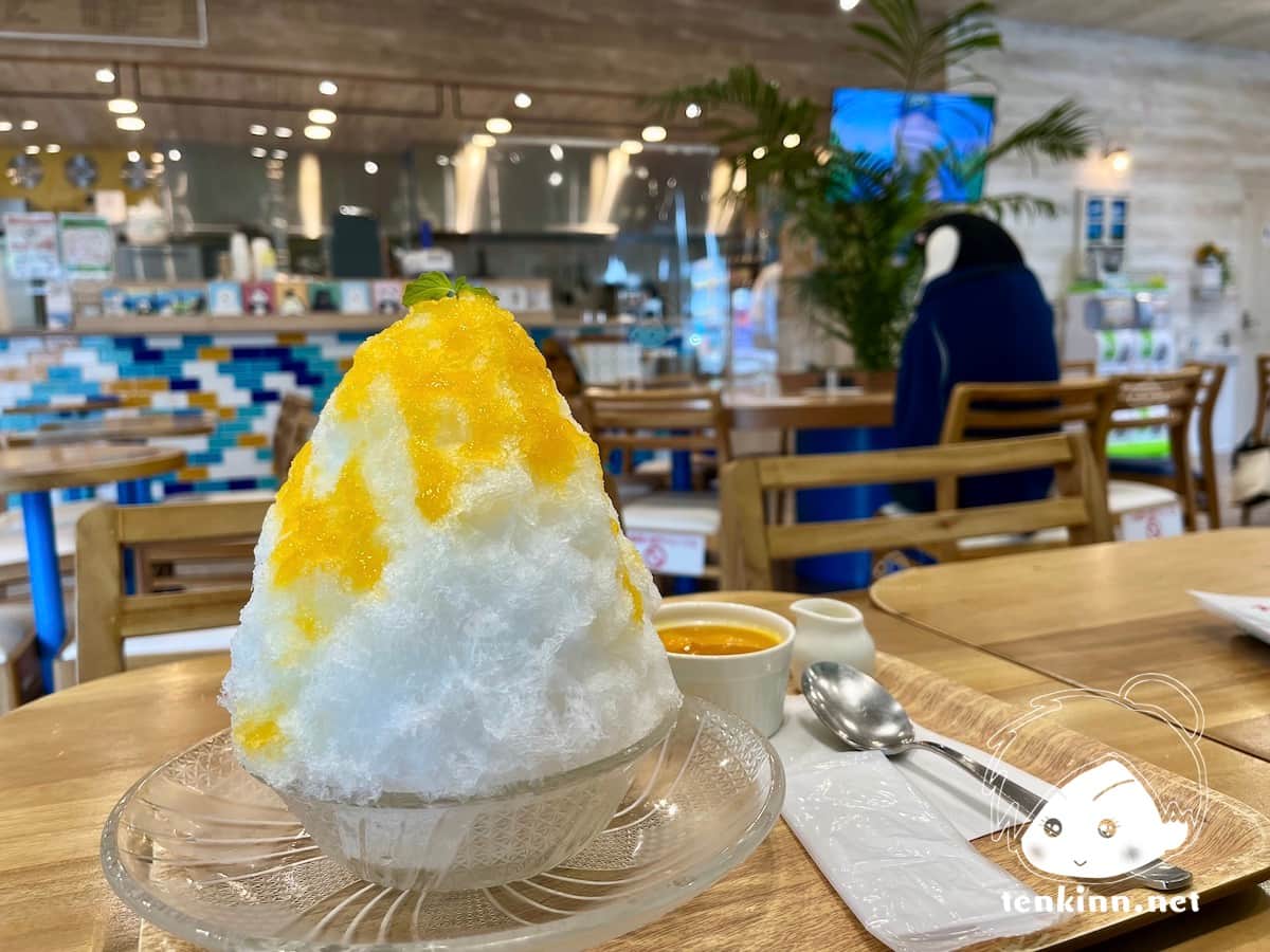 宮古島のしろくまカフェに行ってきた。メニューなど行く前に知りたかったこと。かき氷マンゴーは美味しい！