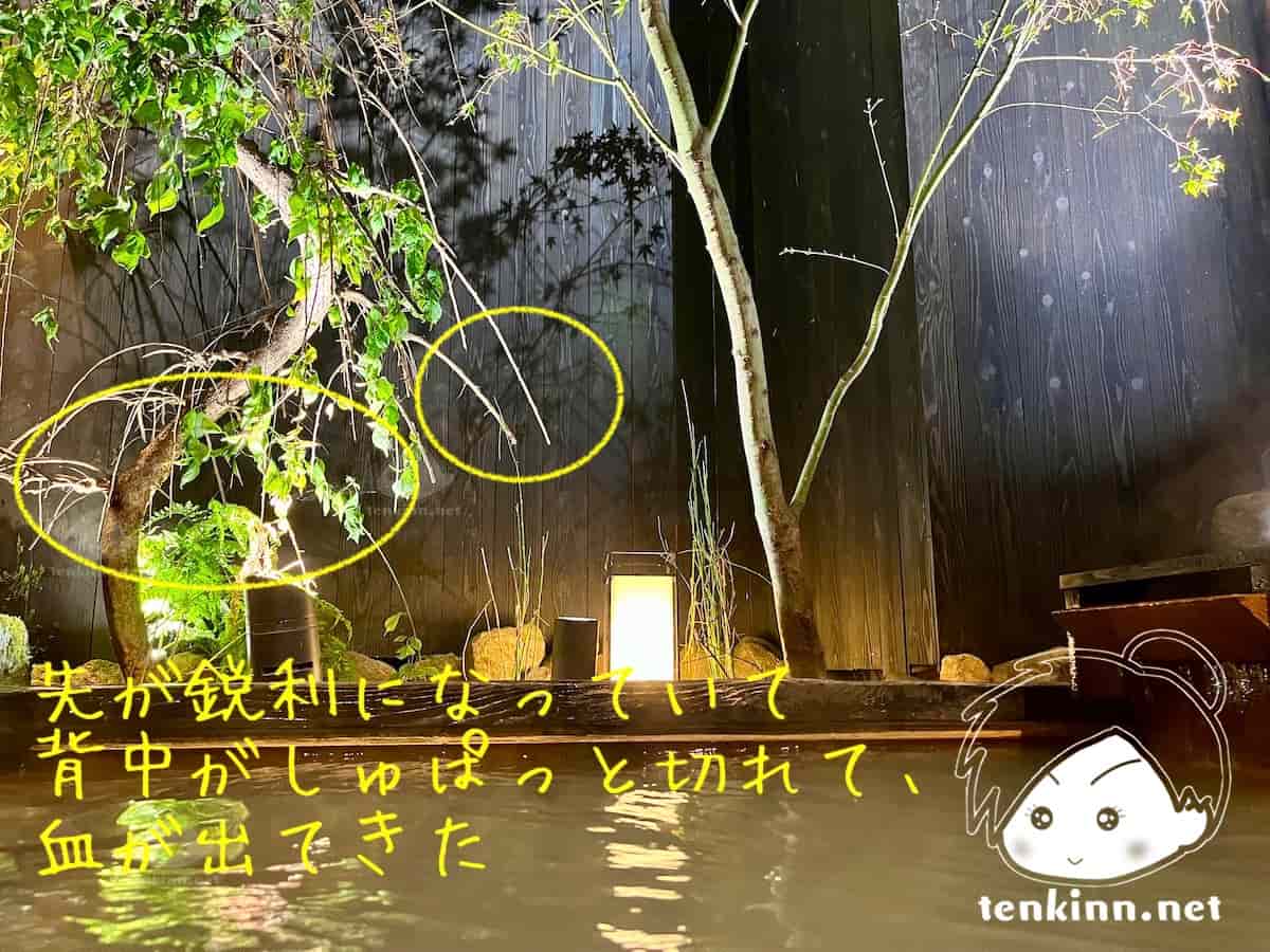 黒川温泉＆白川温泉の客露天風呂付き高級旅館ランキング、竹ふえはおすすめしない、外の風呂は怪我をする